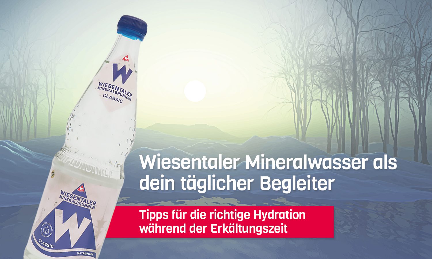 Wiesentaler Mineralbrunnen GmbH - Grafik - Blogbeitrag - Hydration in der Erkältungszeit