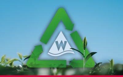 Nachhaltigkeit bei Wiesentaler: Unser Engagement für die Umwelt